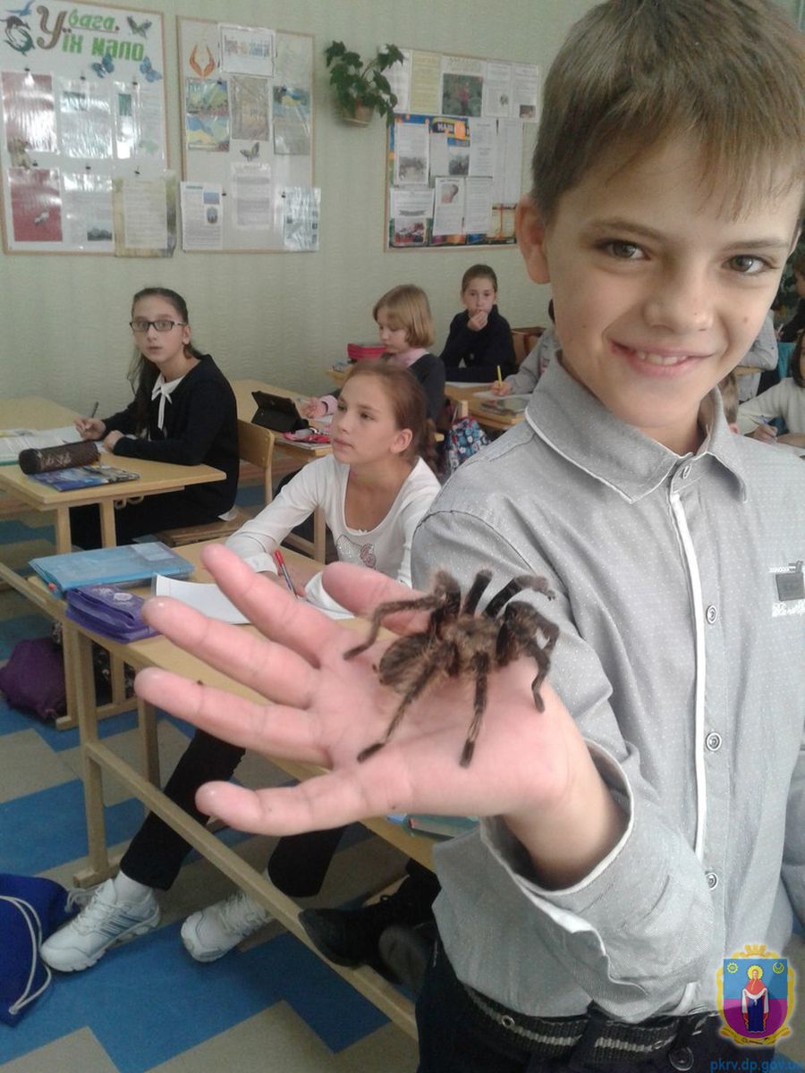 «учитель року – 2017» у номінації «біологія» – з ліцею - изображение 1