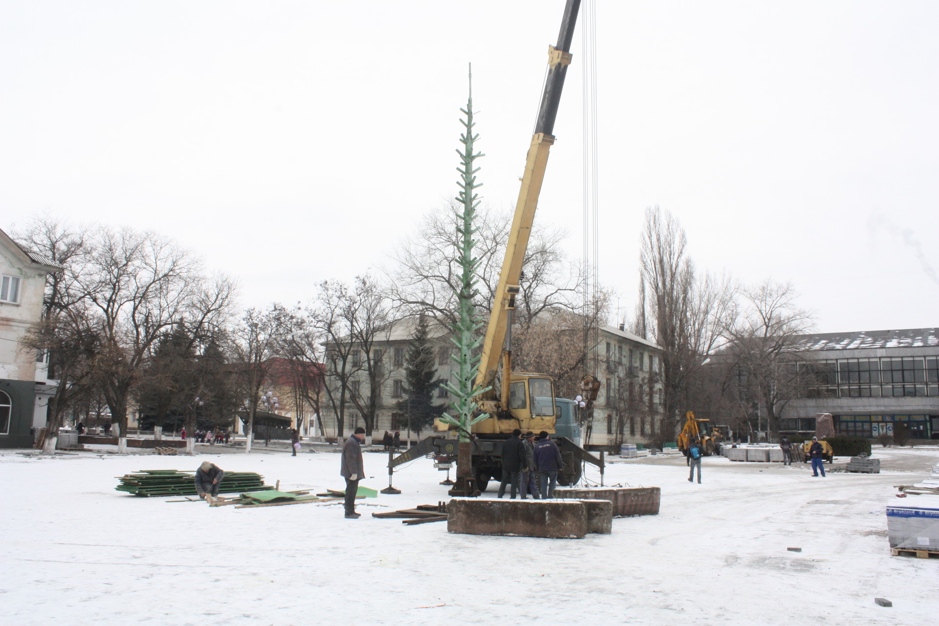 «гоковскую» елку все-таки устанавливают - изображение 1