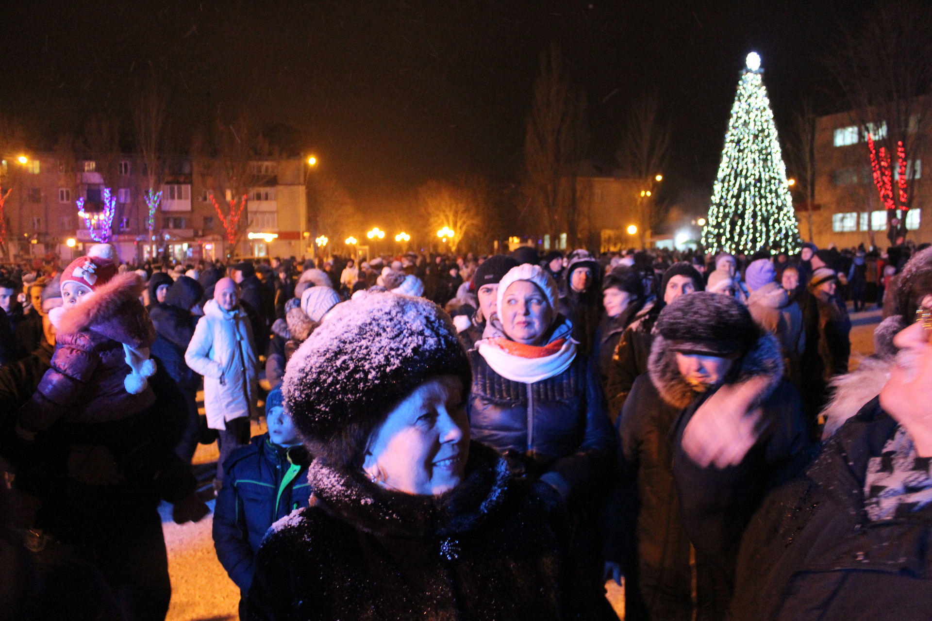 в покрове открыли главную елку города - изображение 1