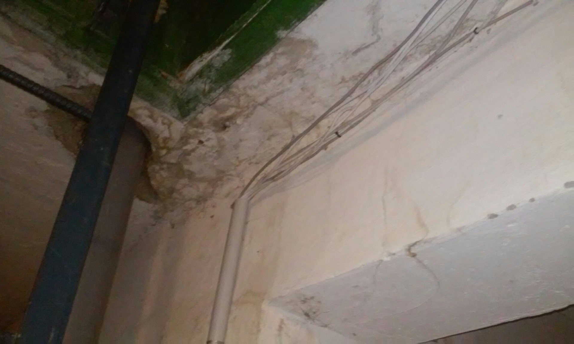 последствия ремонта крыши который жэо проводило почти все лето. улица соборная, дом 31, подъезд 1 - изображение 4