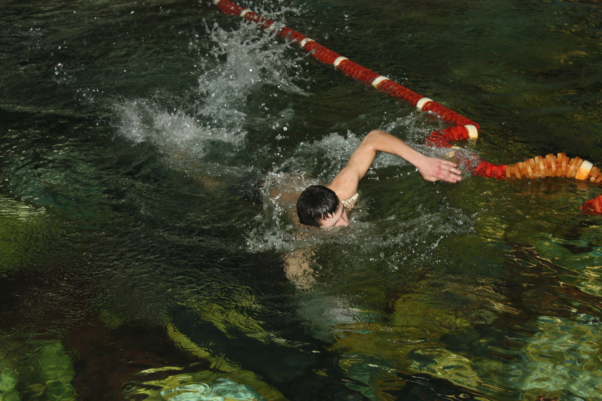 прошел чемпионат огока по плаванью ( видео) - изображение 1