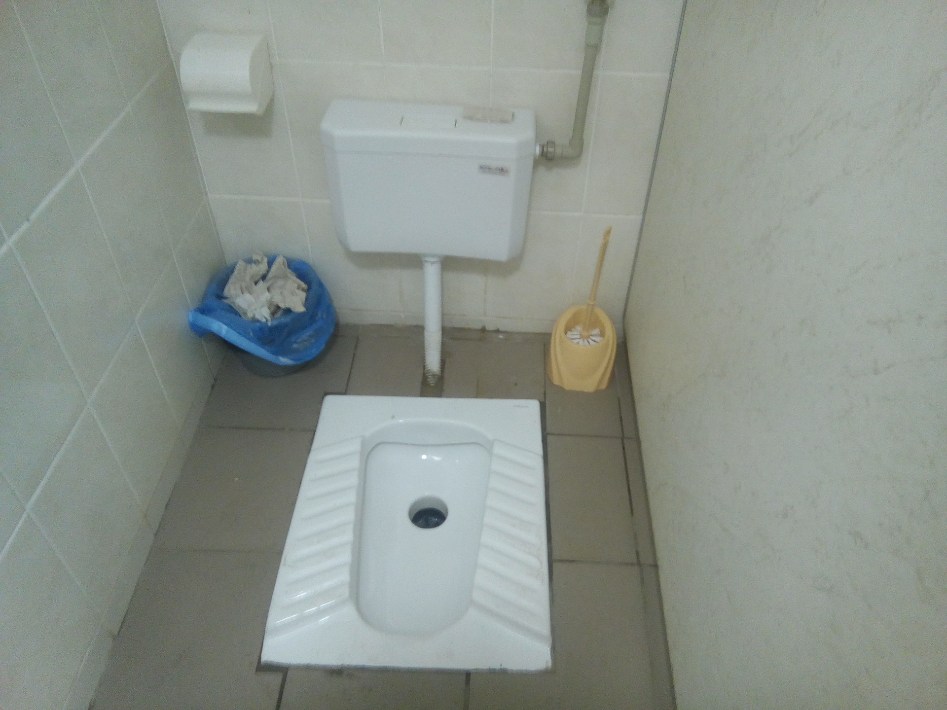 что творится в новом общественном туалете? - изображение 1