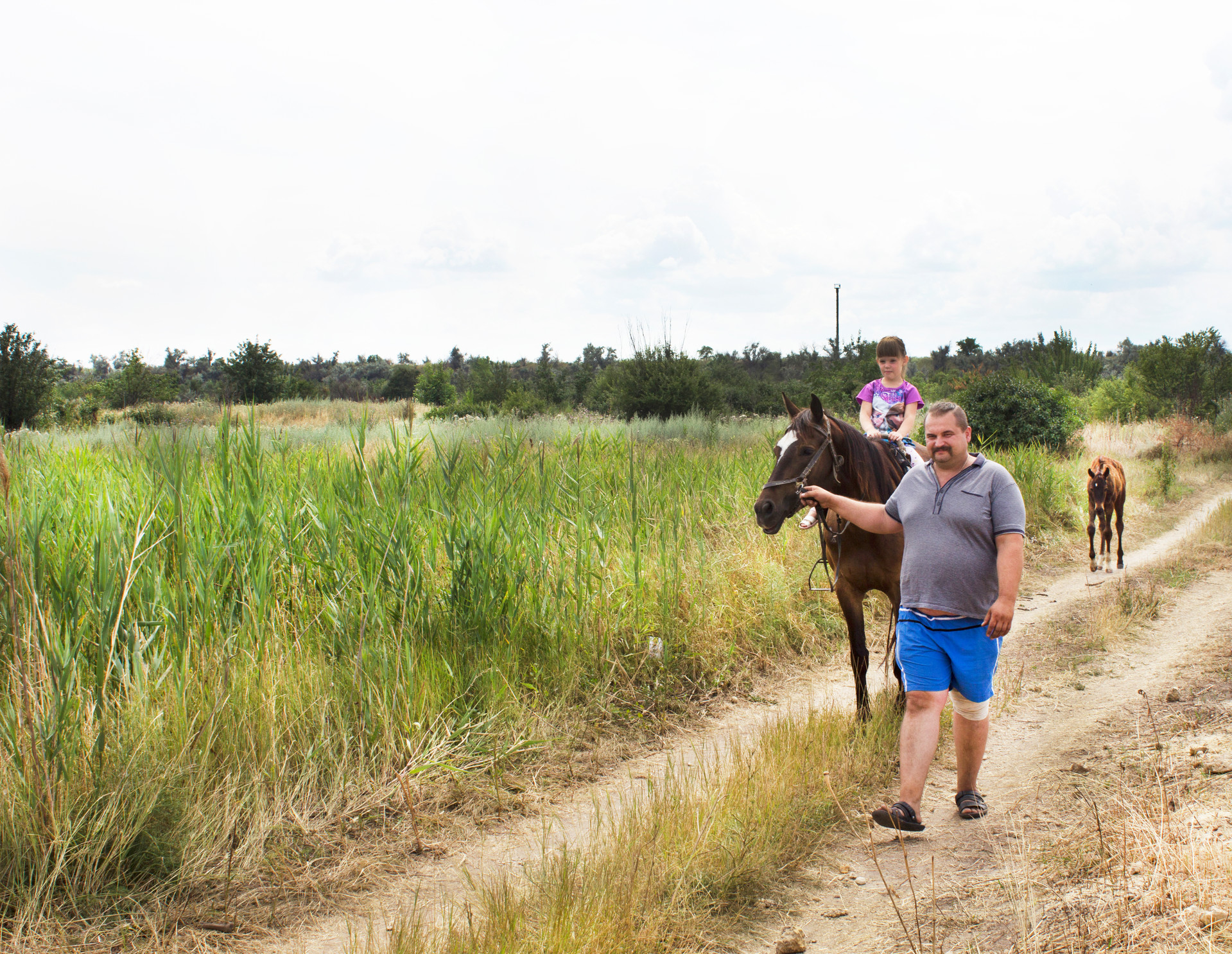 архив газеты «нове місто тв»: иппотерапия в нашем городе. общение с лошадьми помогает лечить детей - изображение 2
