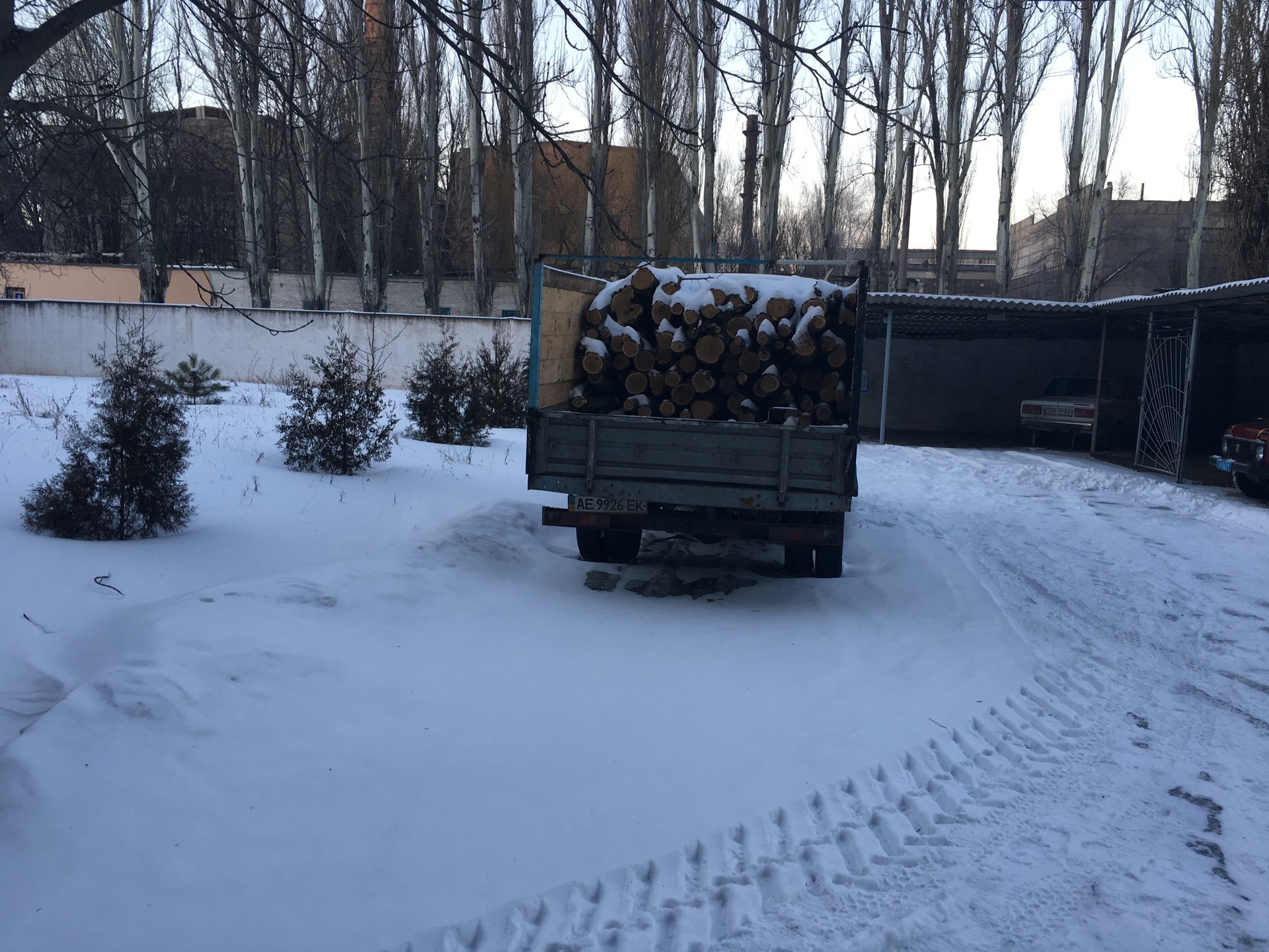 незаконная вырубка деревьев достигла угрожающих масштабов ( видео) - изображение 4 незаконная вырубка деревьев достигла угрожающих масштабов ( видео) - изображение 4