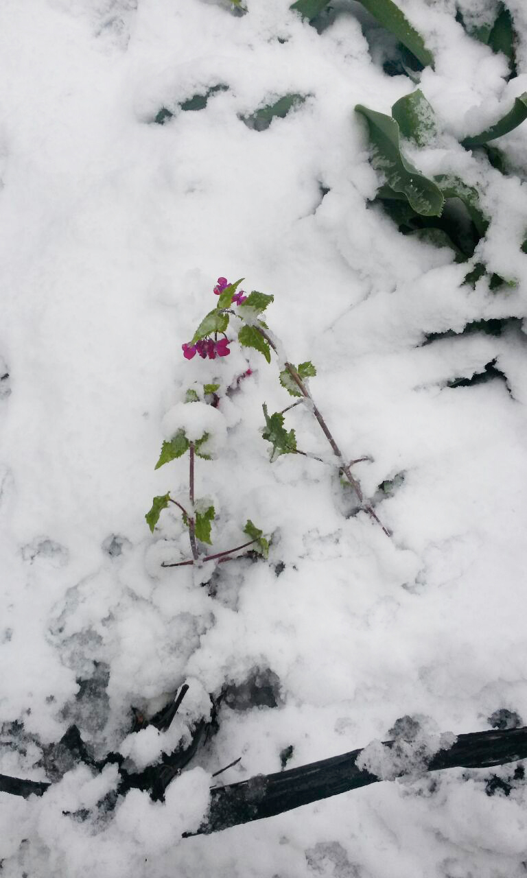 42 дня до лета: от читателей в газету - изображение 2