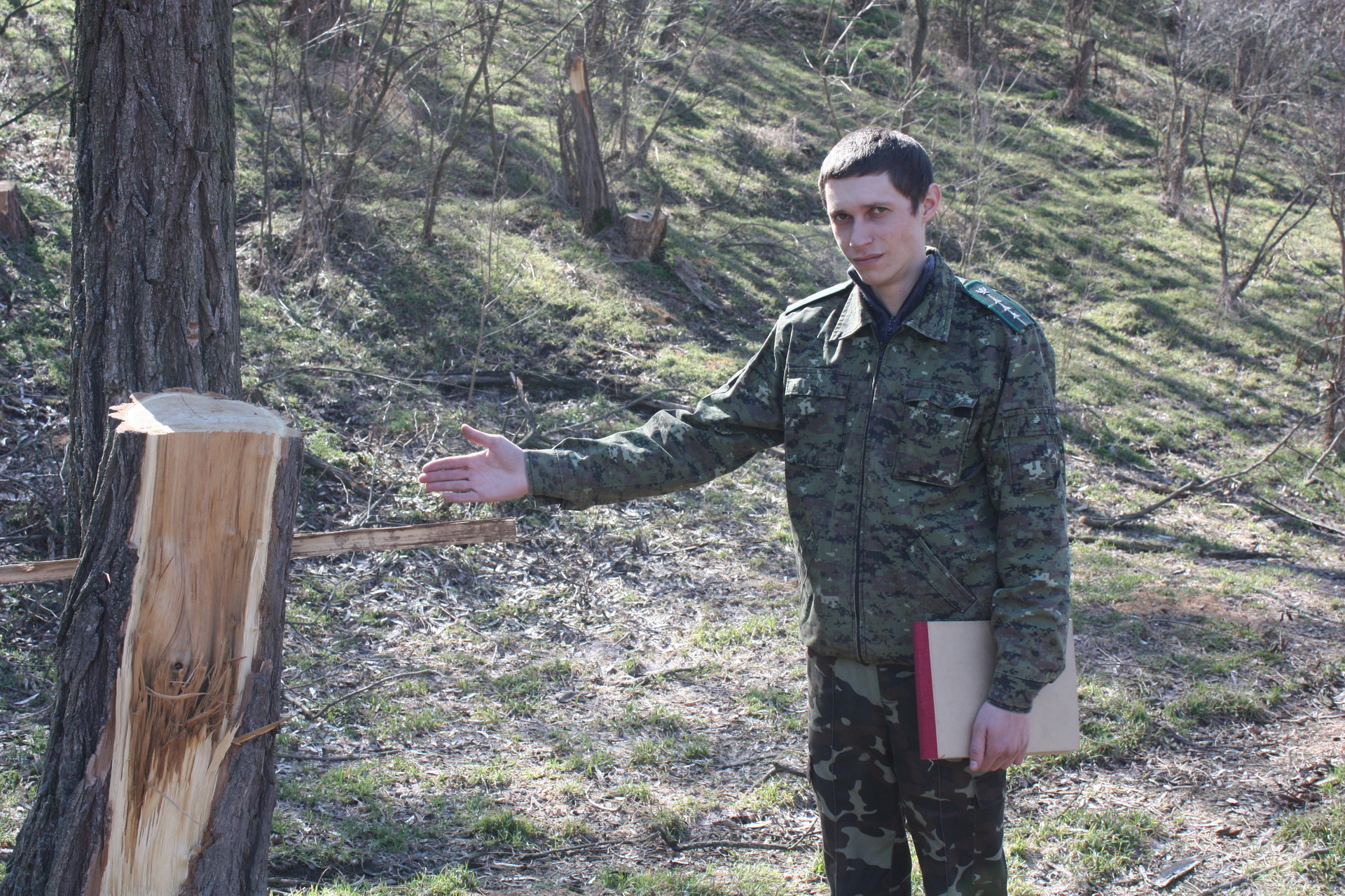 незаконная вырубка деревьев достигла угрожающих масштабов ( видео) - изображение 2 незаконная вырубка деревьев достигла угрожающих масштабов ( видео) - изображение 2