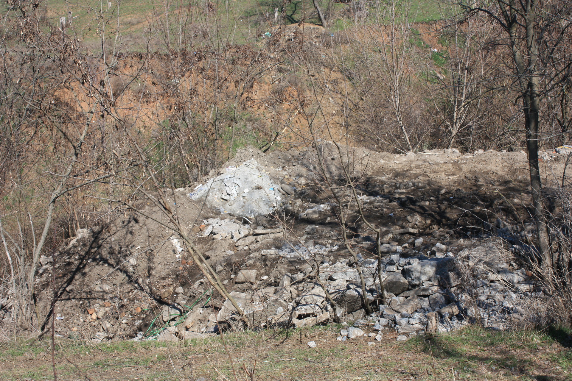незаконная вырубка деревьев достигла угрожающих масштабов ( видео) - изображение 8 незаконная вырубка деревьев достигла угрожающих масштабов ( видео) - изображение 8