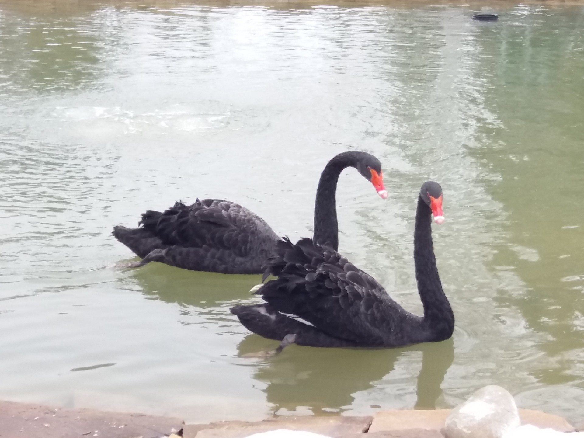 «интеркроковцы» побывали в городе харькове (впечатления участников поездки) - изображение 2 «интеркроковцы» побывали в городе харькове (впечатления участников поездки) - изображение 2