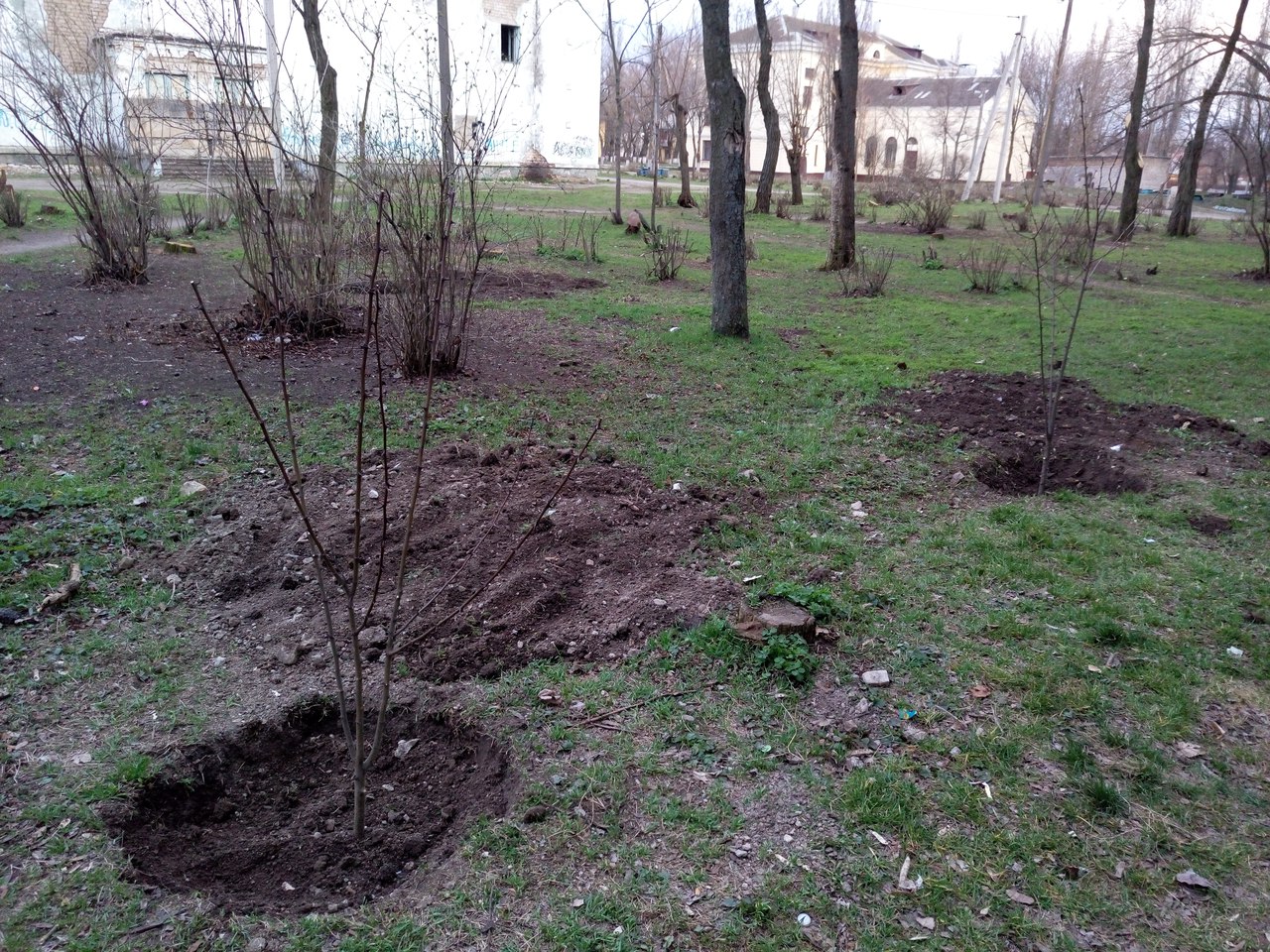 от читателей в газету: «спасибо всем, кто не дает городу превратиться в пустыню! - изображение 6 от читателей в газету: «спасибо всем, кто не дает городу превратиться в пустыню! - изображение 6