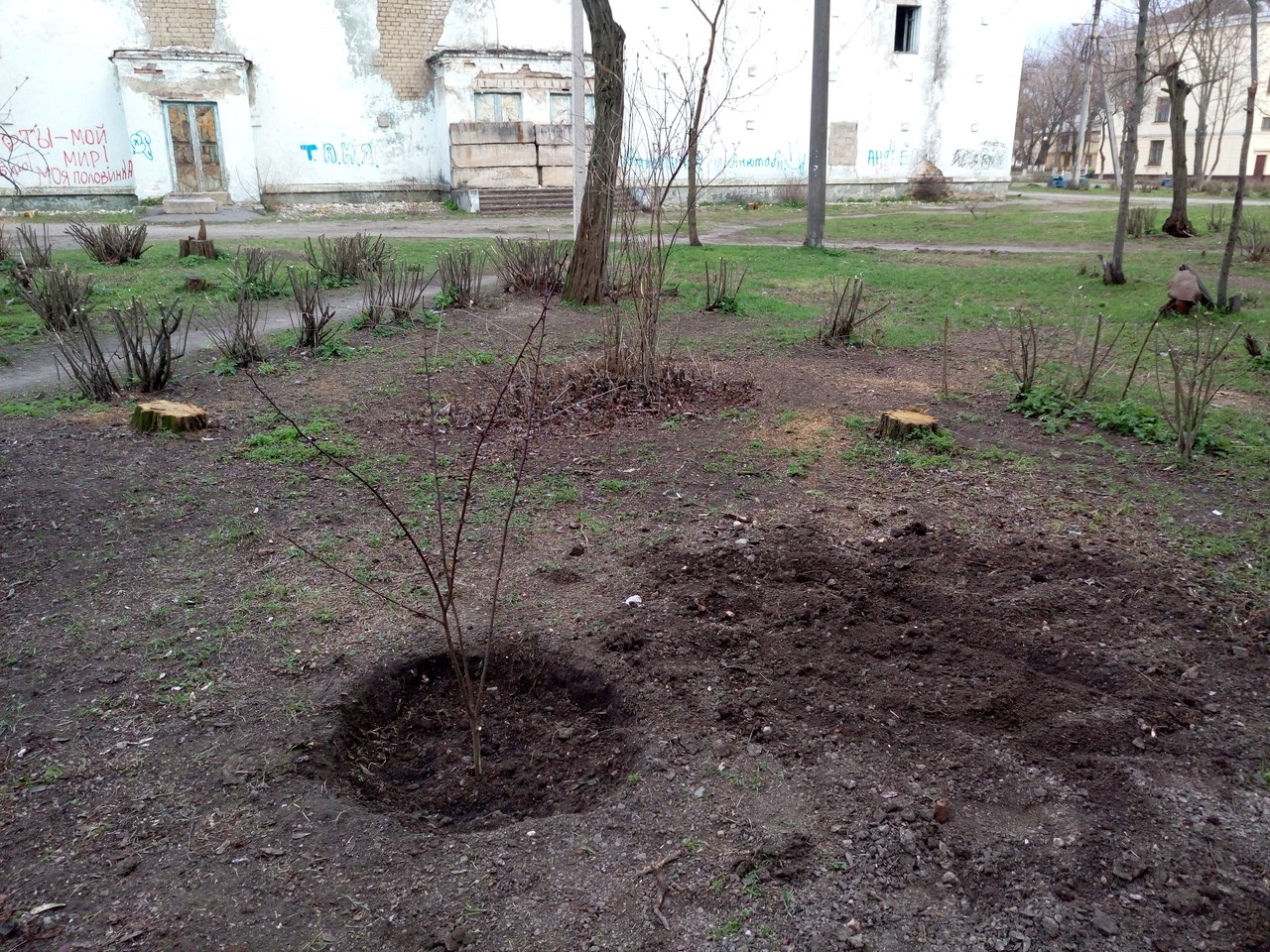 от читателей в газету: «спасибо всем, кто не дает городу превратиться в пустыню! - изображение 5 от читателей в газету: «спасибо всем, кто не дает городу превратиться в пустыню! - изображение 5