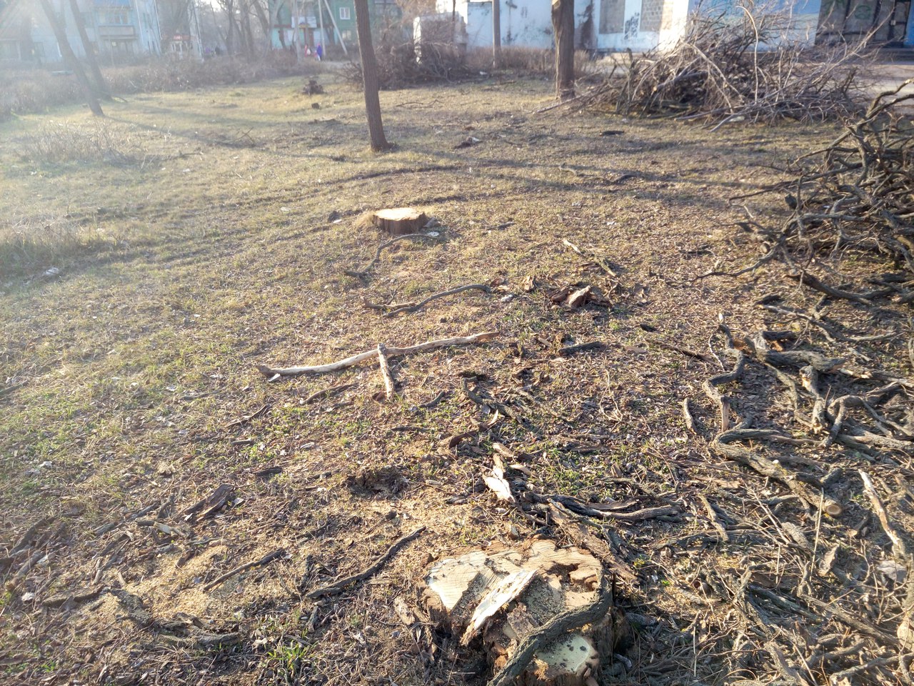 от читателей в газету: «спасибо всем, кто не дает городу превратиться в пустыню! - изображение 2 от читателей в газету: «спасибо всем, кто не дает городу превратиться в пустыню! - изображение 2