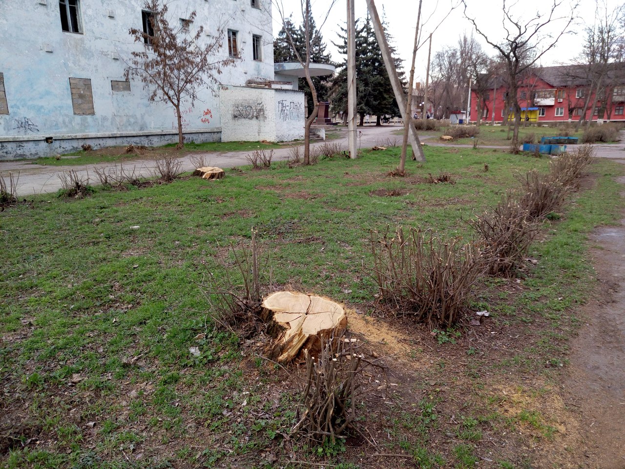 от читателей в газету: «спасибо всем, кто не дает городу превратиться в пустыню! - изображение 3 от читателей в газету: «спасибо всем, кто не дает городу превратиться в пустыню! - изображение 3