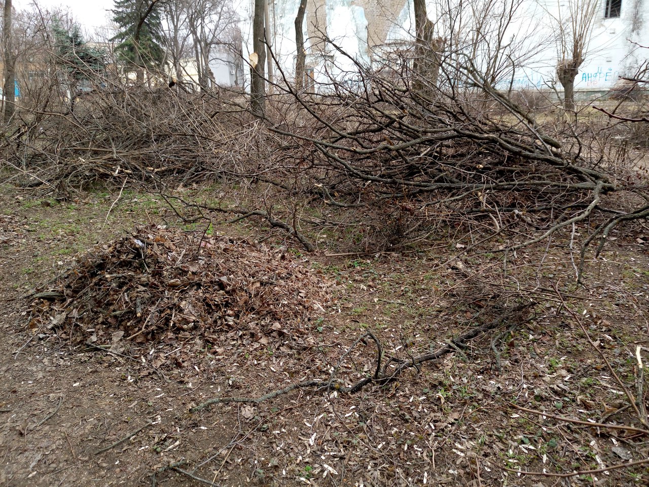 от читателей в газету: «спасибо всем, кто не дает городу превратиться в пустыню! - изображение 1 от читателей в газету: «спасибо всем, кто не дает городу превратиться в пустыню! - изображение 1