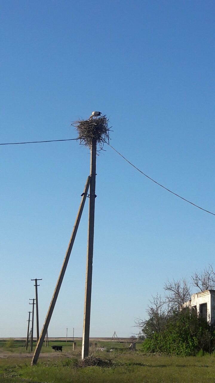 фото дня - изображение 1