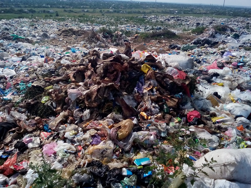 днепр скоро повторит мусорную участь львова (фото) - изображение 7