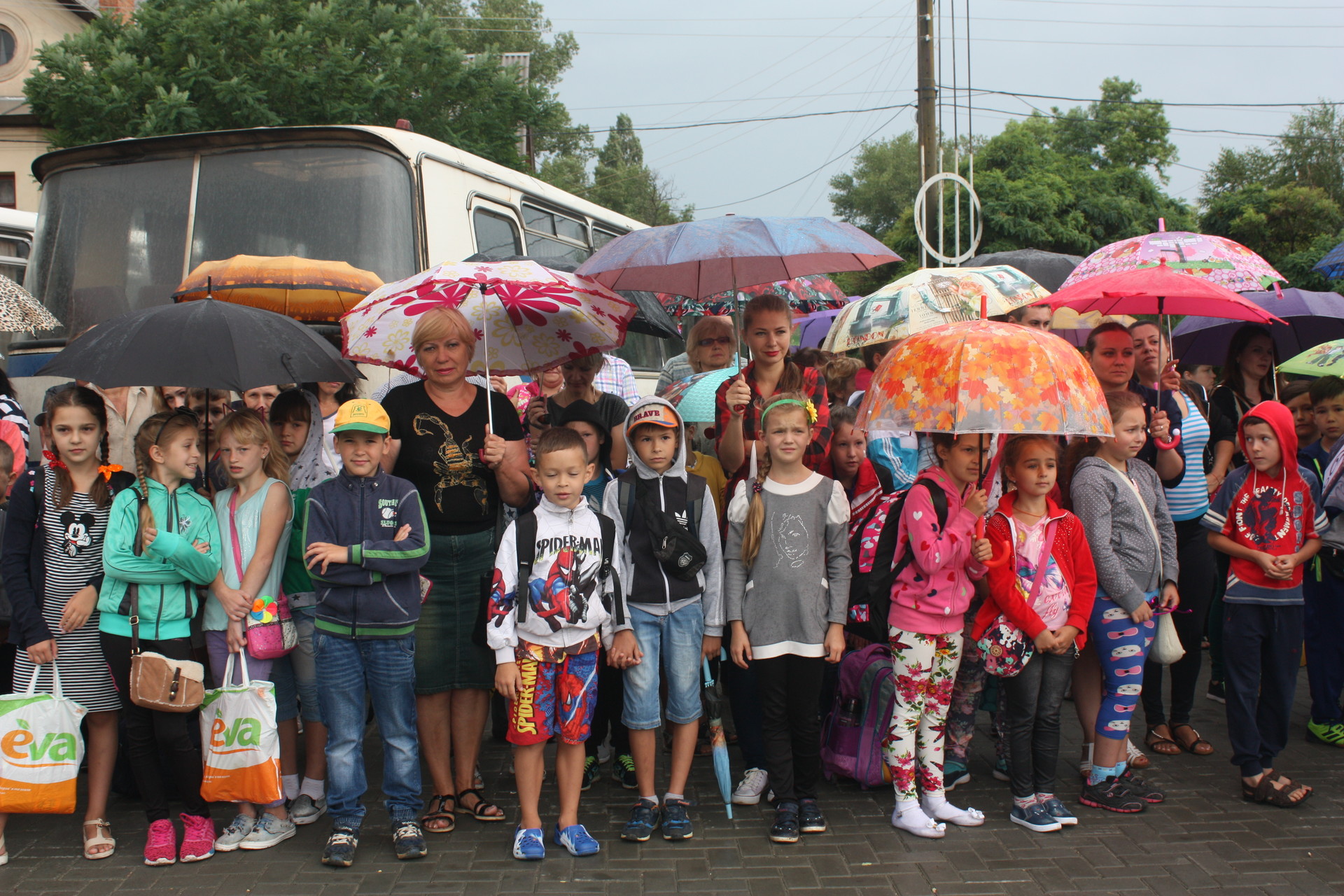 в «чайке» стартовал оздоровительный сезон (фото) - изображение 1