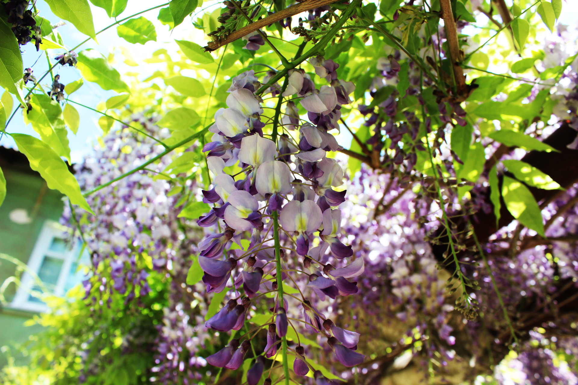 фото читателей: частичка крыма в нашем городе - изображение 1