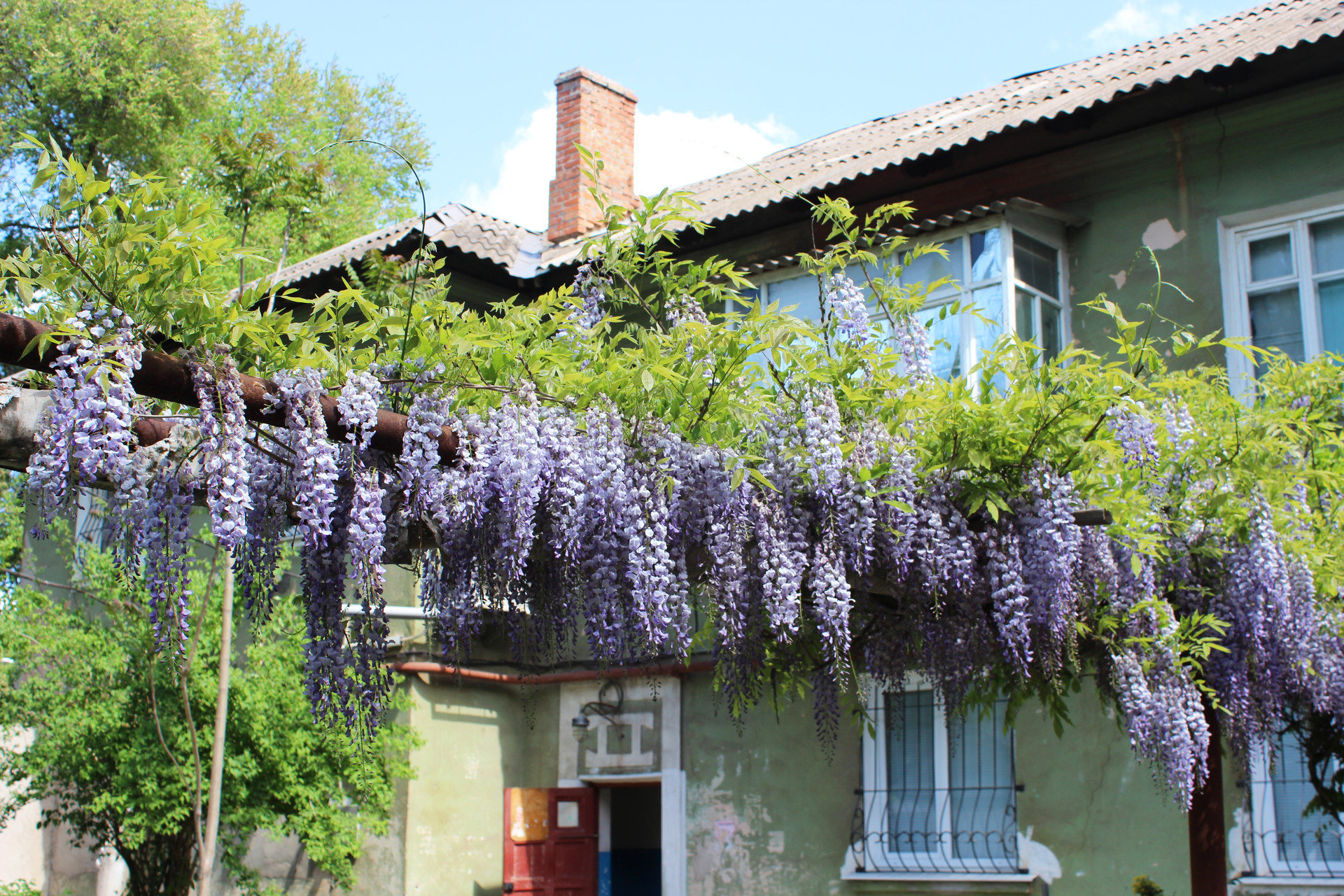фото читателей: частичка крыма в нашем городе - изображение 2
