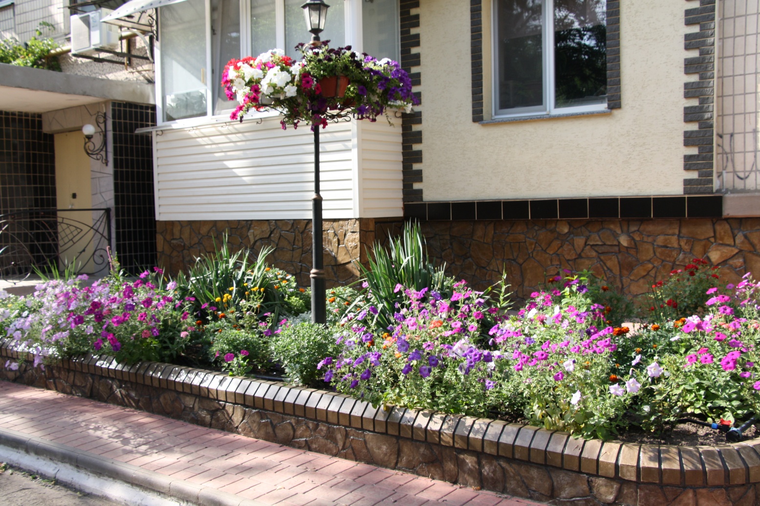 цветы семьи перепятенко - изображение 1 цветы семьи перепятенко - изображение 1