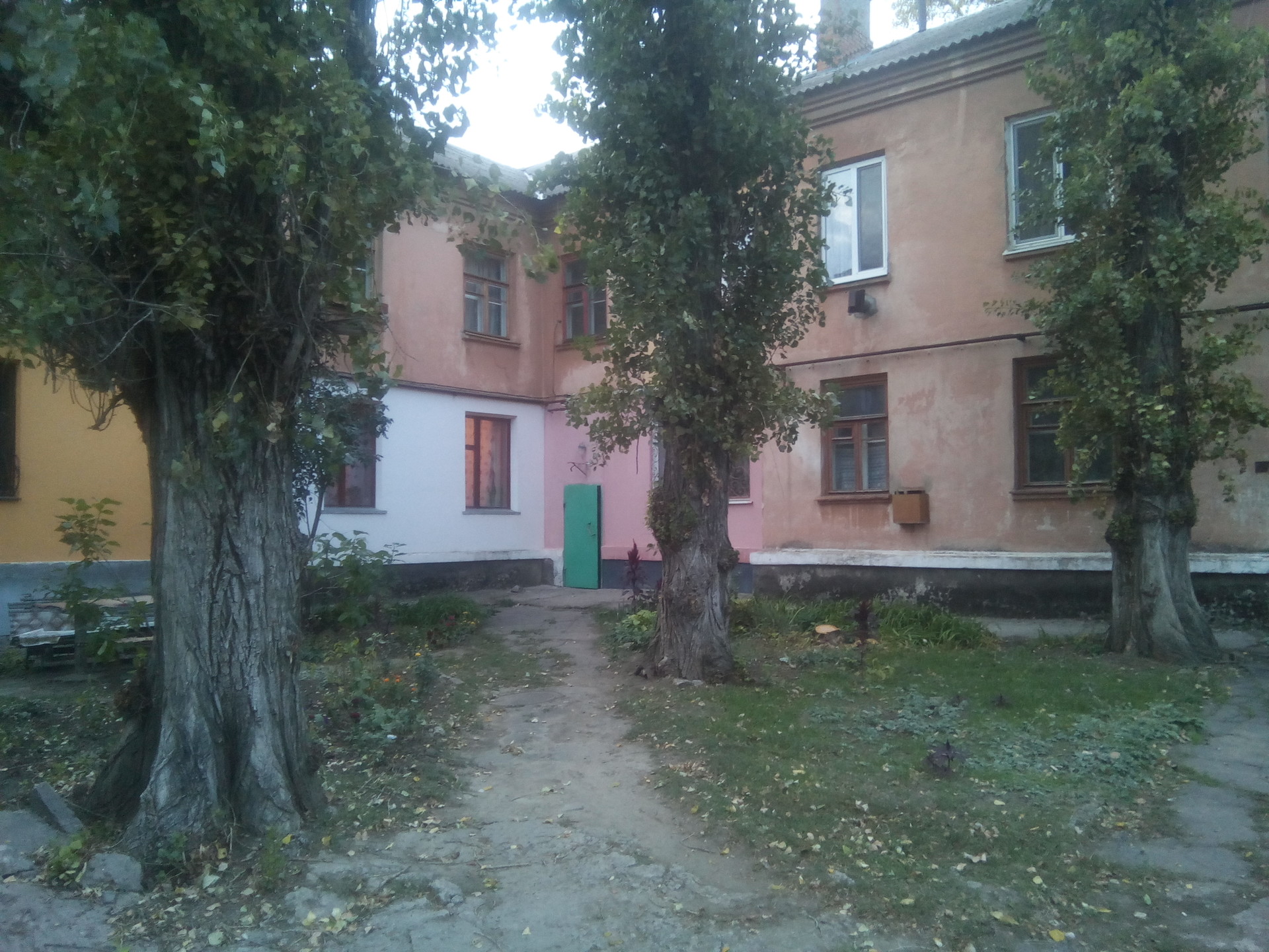 внимание! в квартирах горожан появились змеи (видео) - изображение 1 внимание! в квартирах горожан появились змеи (видео) - изображение 1