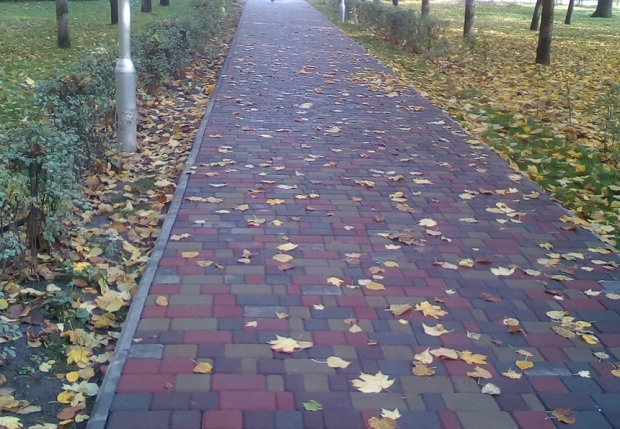 отмывание на парках - изображение 4 отмывание на парках - изображение 4