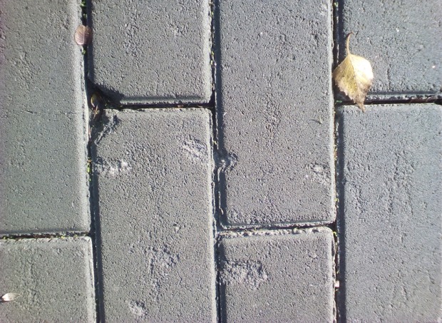 отмывание на парках - изображение 6 отмывание на парках - изображение 6