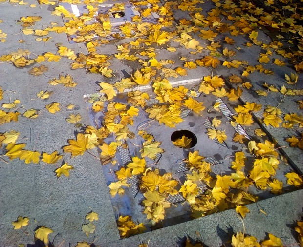 отмывание на парках - изображение 9 отмывание на парках - изображение 9