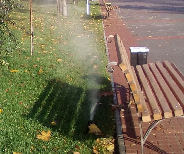 отмывание на парках - изображение 10 отмывание на парках - изображение 10