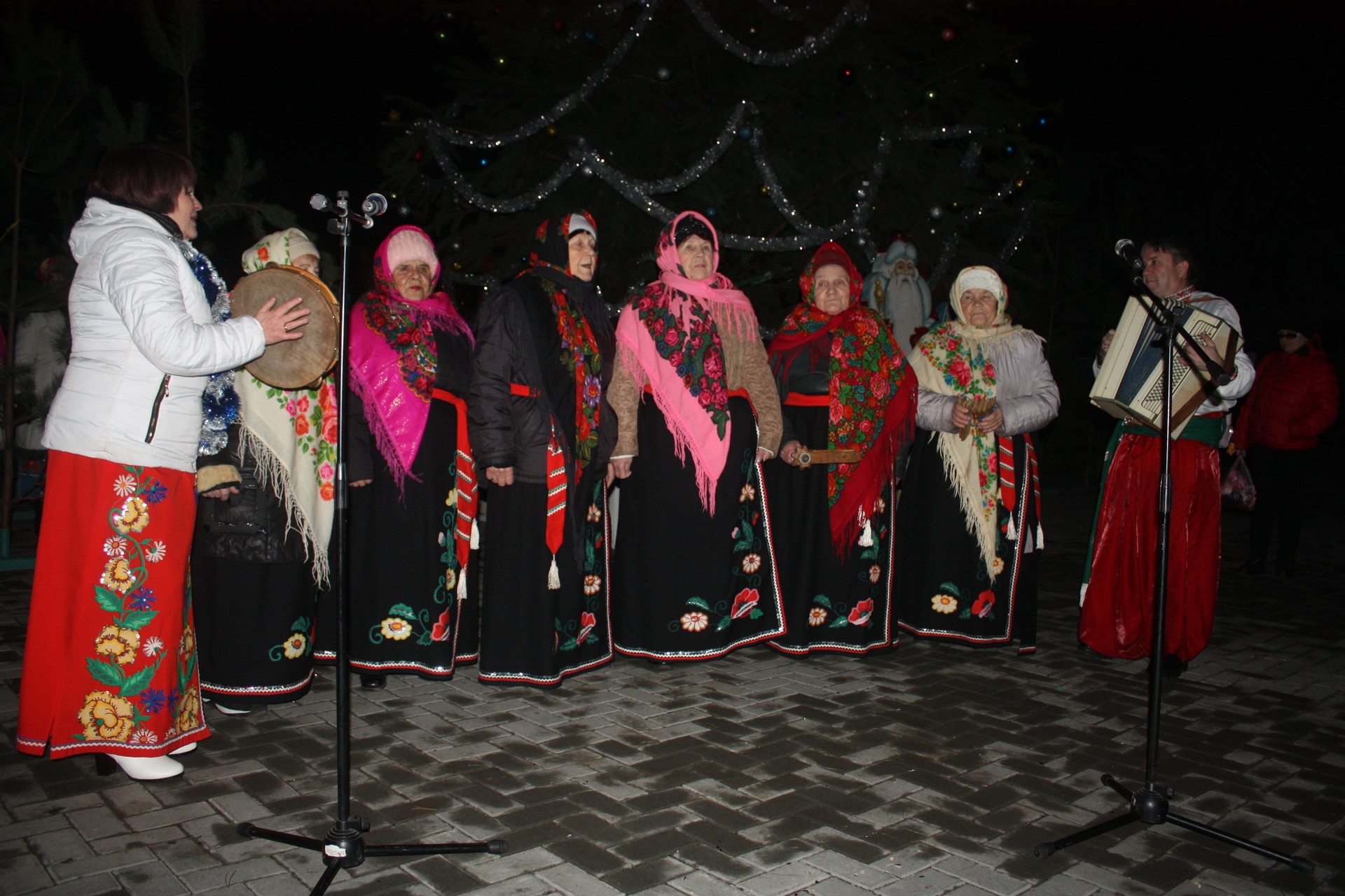 «гоковская» елка зажгла свои огни (фото, видео) - изображение 1