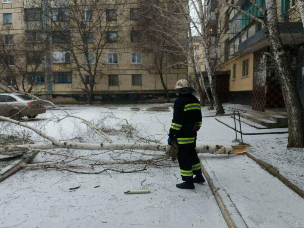 вследствие непогоды дерево рухнуло на проезжую часть - изображение 1
