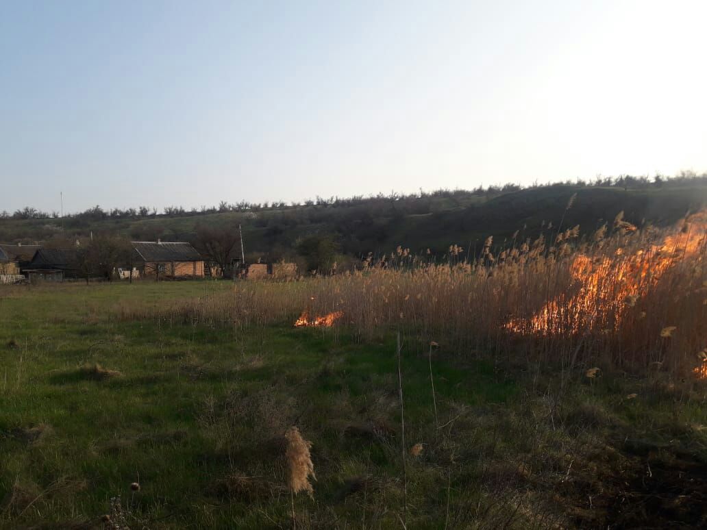 в горняцком сгорело несколько гектаров сухой травы - изображение 1 в горняцком сгорело несколько гектаров сухой травы - изображение 1