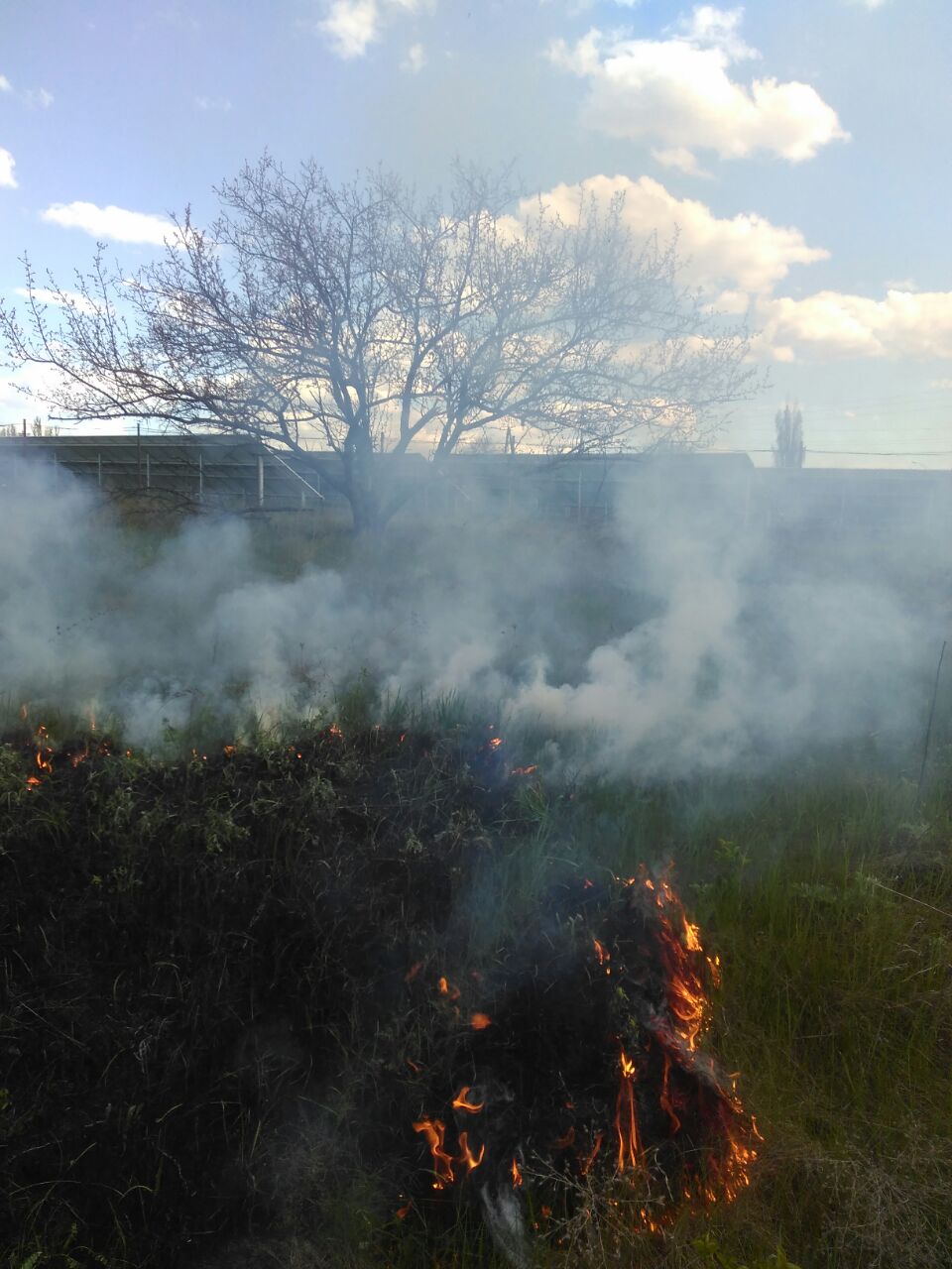 в покрове опять горит сухая трава - изображение 2 в покрове опять горит сухая трава - изображение 2