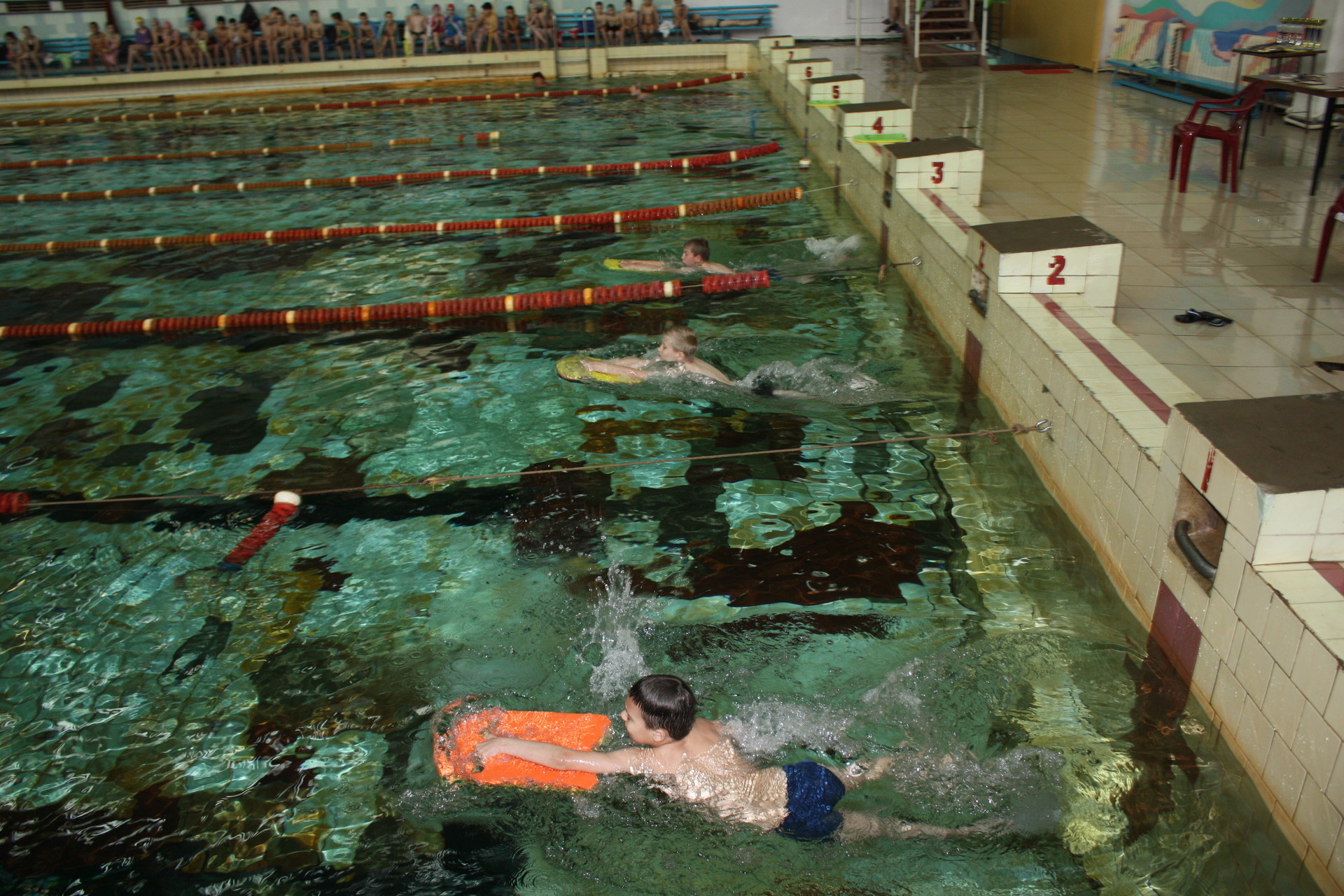 в покрове соревновались юные пловцы из 4 городов (фото, видео) - изображение 2