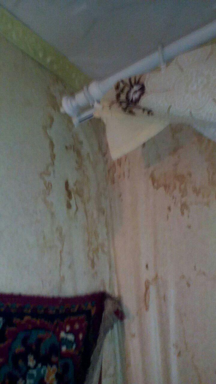 читатели пишут: потоп из-за ремонта кровли - изображение 4 читатели пишут: потоп из-за ремонта кровли - изображение 4