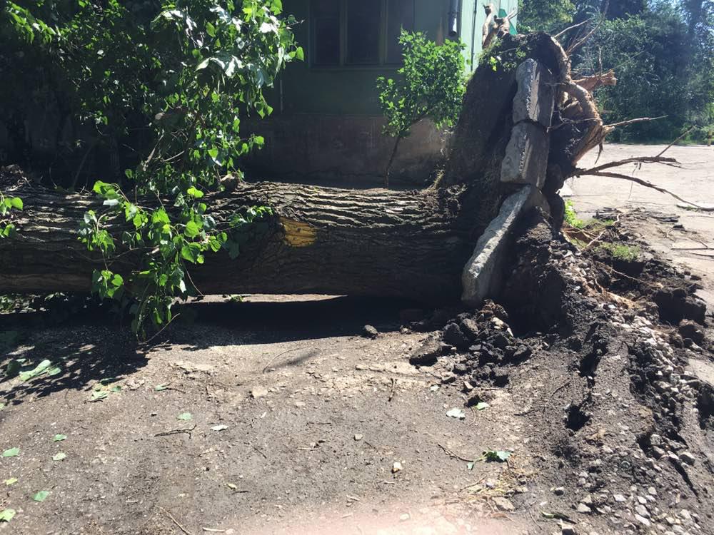 средь лета в покрове разыгралась настоящая буря - изображение 2 средь лета в покрове разыгралась настоящая буря - изображение 2