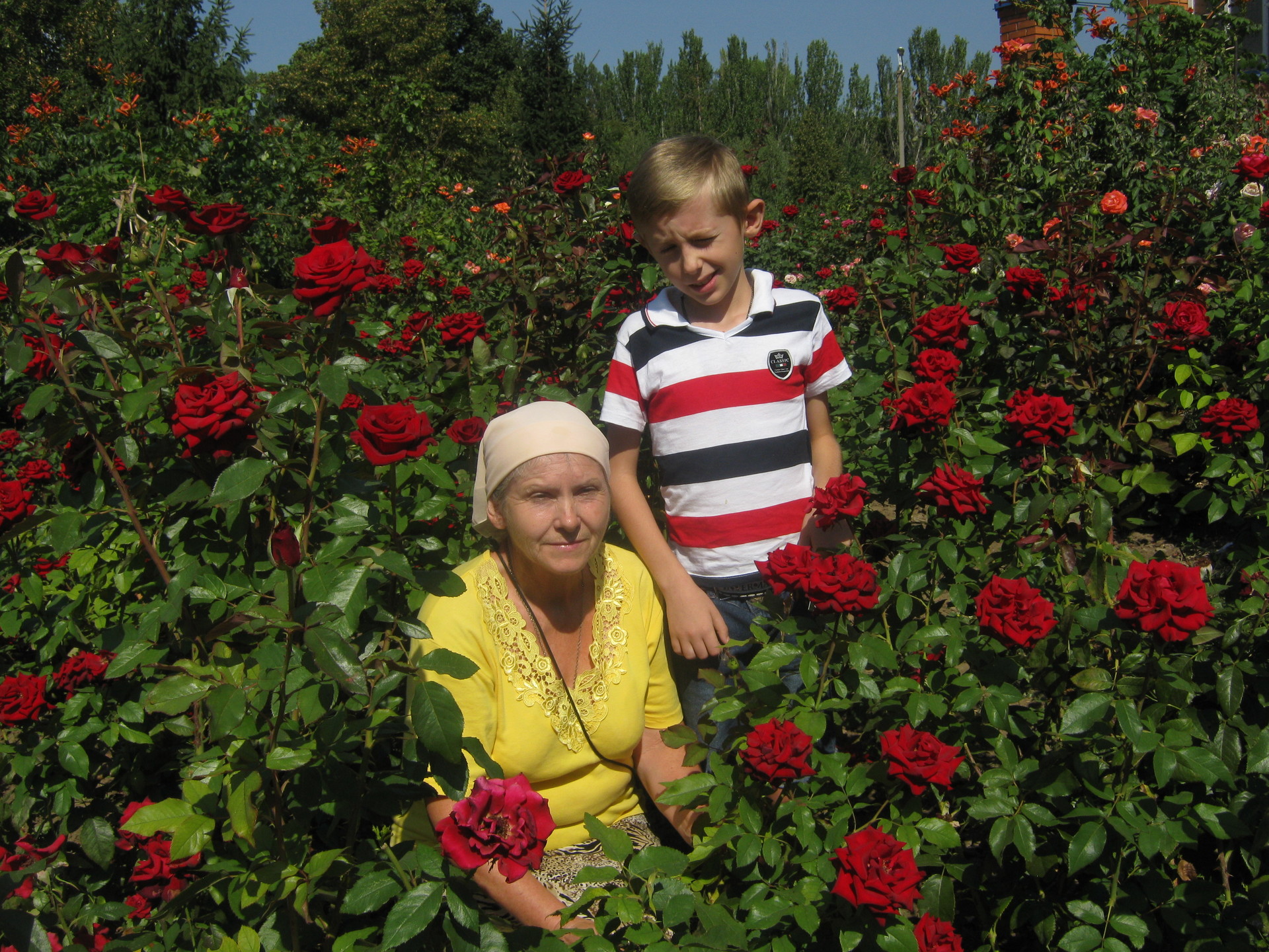 трудом прихожан, молитвами и любовью расцветает пышно «райский уголок» храма святого апостола и евангелиста иоанна богослова - изображение 1 трудом прихожан, молитвами и любовью расцветает пышно «райский уголок» храма святого апостола и евангелиста иоанна богослова - изображение 1
