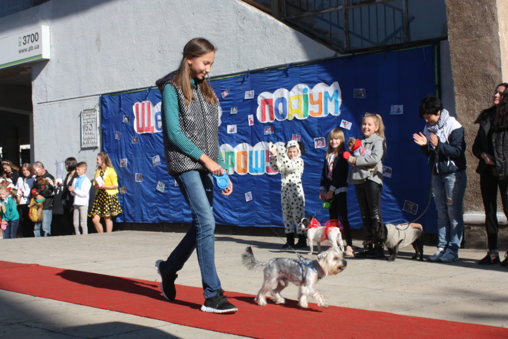 день города-2018: концерт «с любовью к родному городу» и «щенячий подиум» (фото, видео) - изображение 3 день города-2018: концерт «с любовью к родному городу» и «щенячий подиум» (фото, видео) - изображение 3