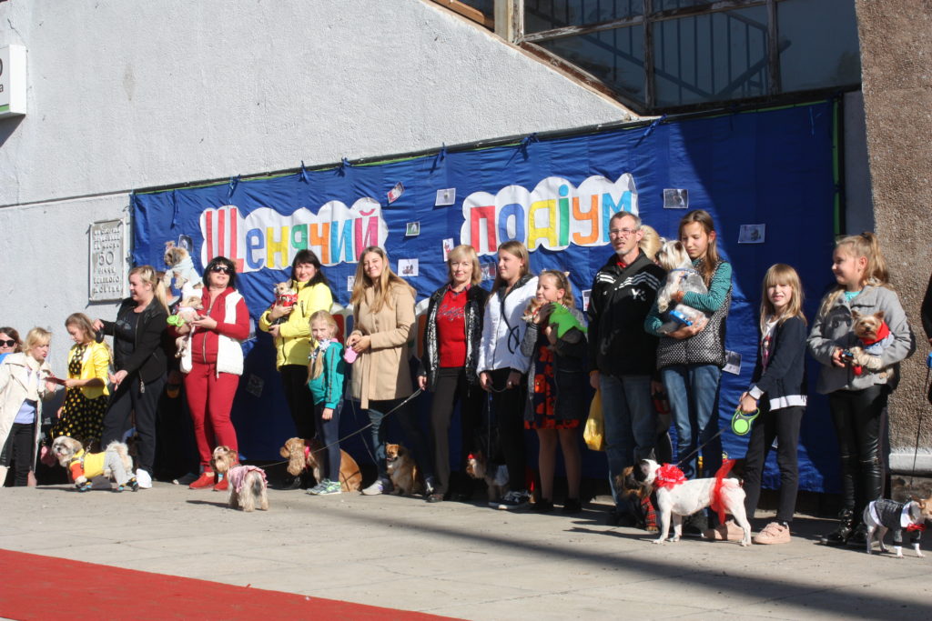 день города-2018: концерт «с любовью к родному городу» и «щенячий подиум» (фото, видео) - изображение 4 день города-2018: концерт «с любовью к родному городу» и «щенячий подиум» (фото, видео) - изображение 4