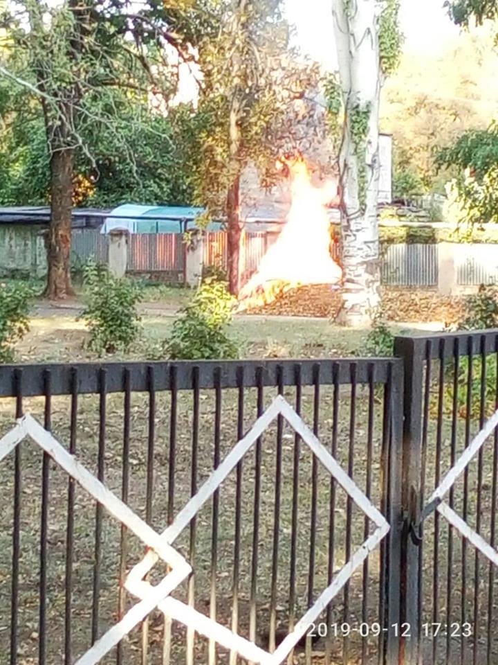 «дерево, мне тебя жалко»: в соцсетях появилось видео пожара на территории горбольницы (видео) - изображение 1 «дерево, мне тебя жалко»: в соцсетях появилось видео пожара на территории горбольницы (видео) - изображение 1