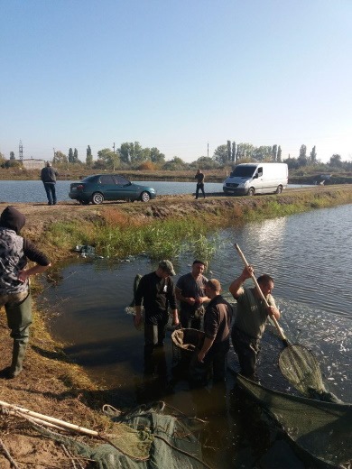 у каховське водосховище випустили понад 5 тонн молоді риби - изображение 2 у каховське водосховище випустили понад 5 тонн молоді риби - изображение 2