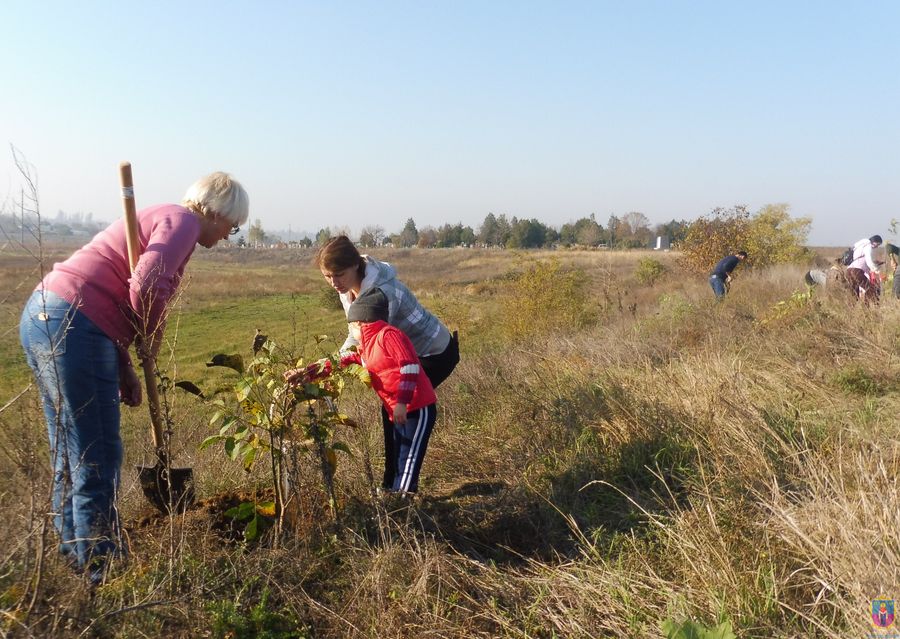 зустрічали гостей та садили дерева - изображение 5