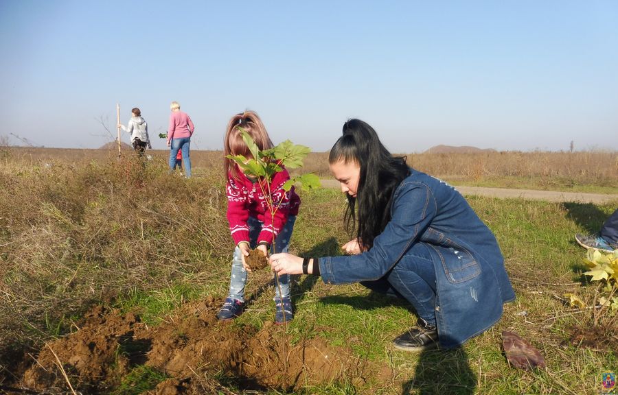 зустрічали гостей та садили дерева - изображение 4