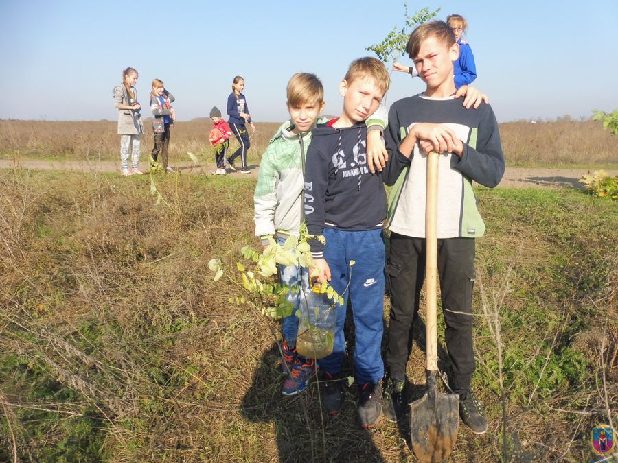 зустрічали гостей та садили дерева - изображение 6