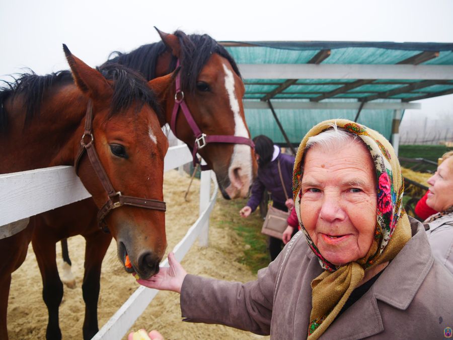 зустрічали гостей та садили дерева - изображение 2