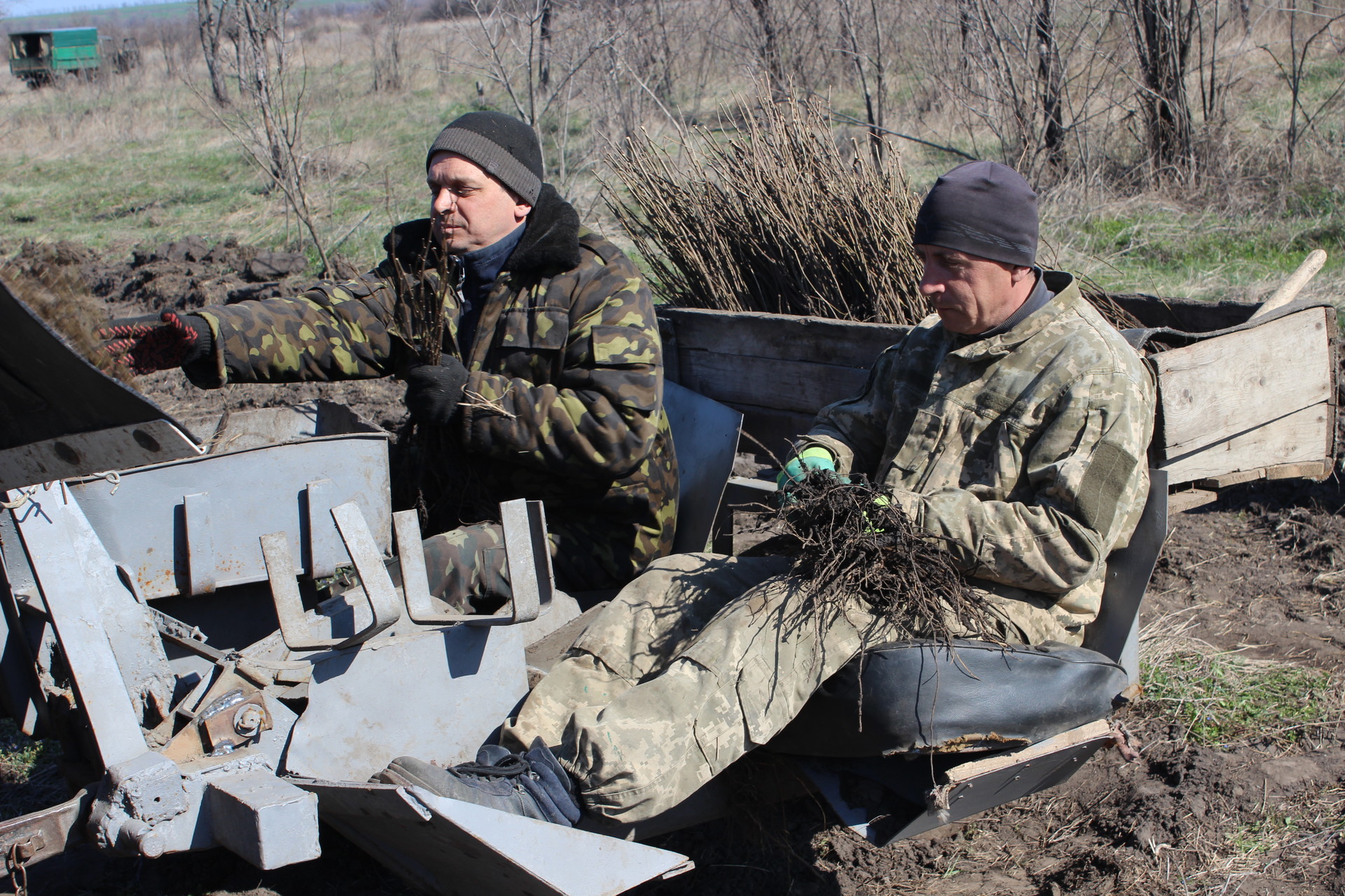 возле покрова высадят 44 тысячи акаций (видео) - изображение 2 возле покрова высадят 44 тысячи акаций (видео) - изображение 2