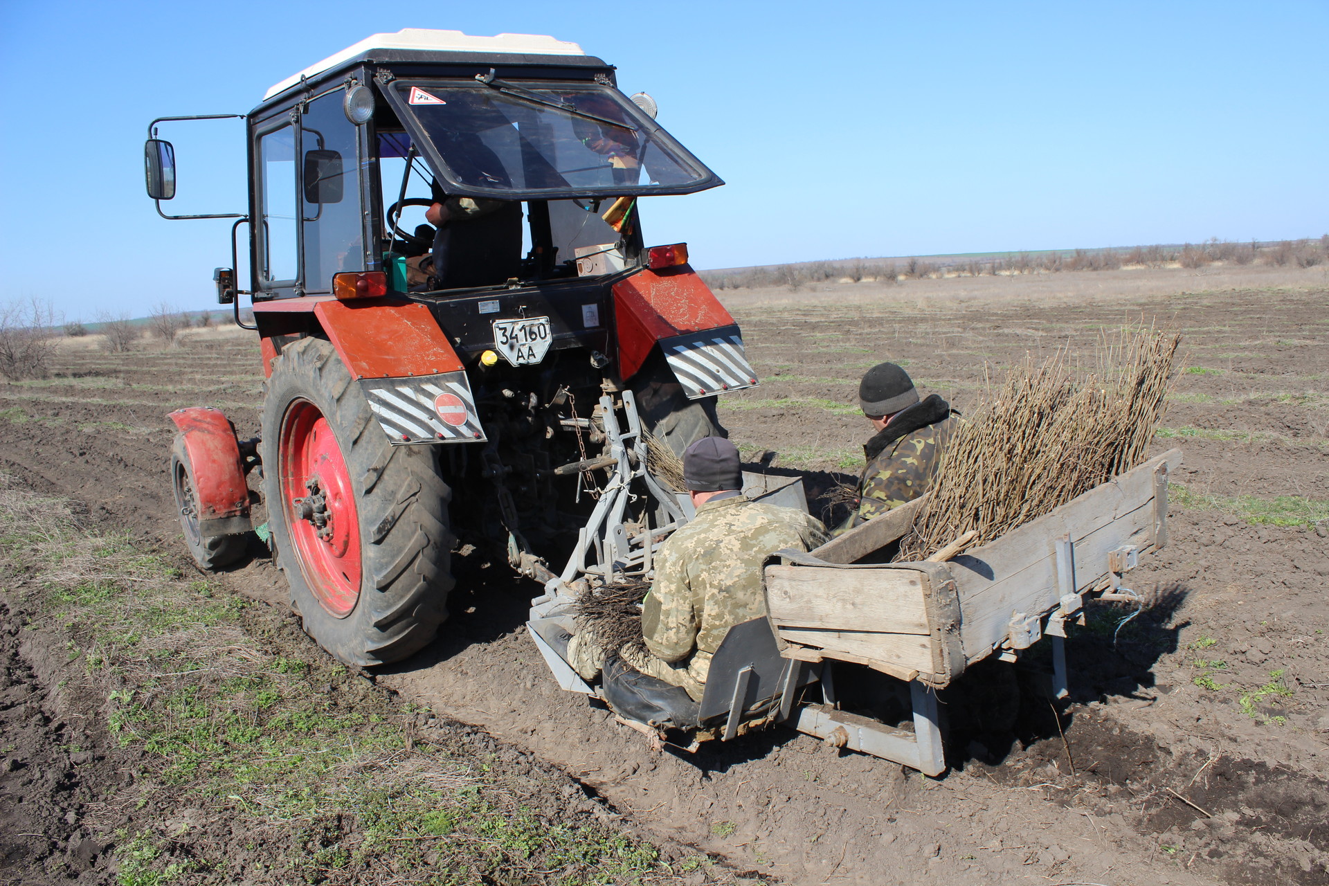 возле покрова высадят 44 тысячи акаций (видео) - изображение 1 возле покрова высадят 44 тысячи акаций (видео) - изображение 1