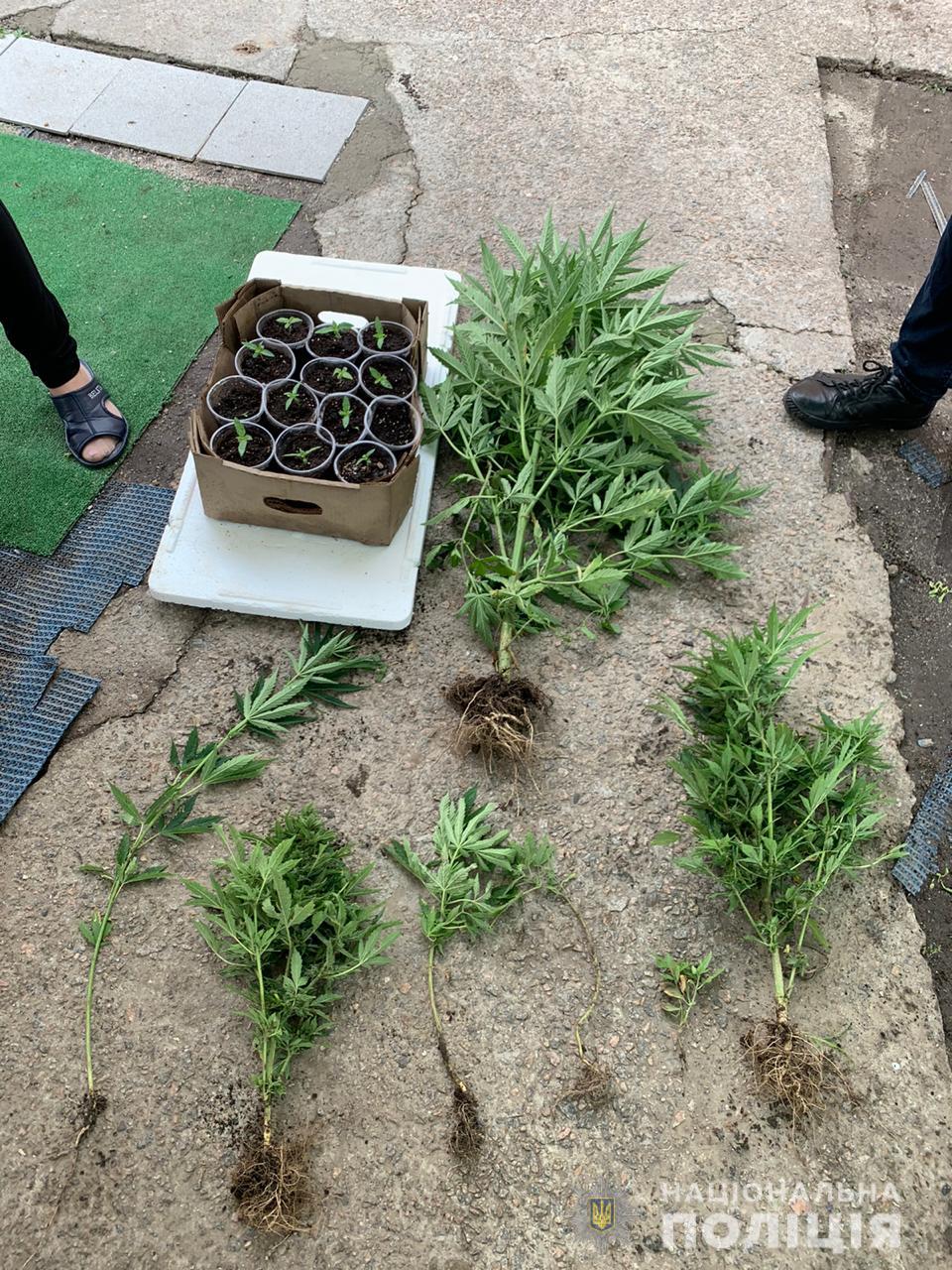 у мешканця нікополя вилучили півтора кілограма пластиду та наркотики на 400 тисяч гривень - зображення 2 у мешканця нікополя вилучили півтора кілограма пластиду та наркотики на 400 тисяч гривень - зображення 2