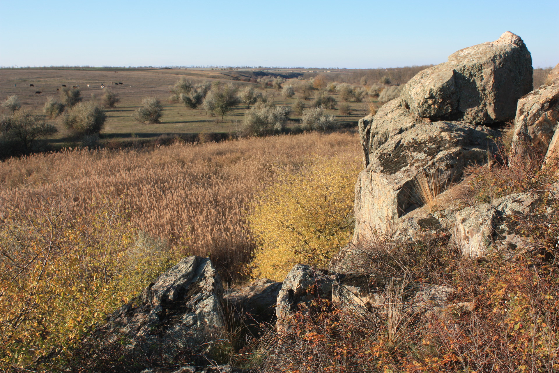 на берегах базавлука и соленой запрещено отдыхать, рыбачить и охотиться? что известно о заказнике «базавлуцкий» - изображение 11