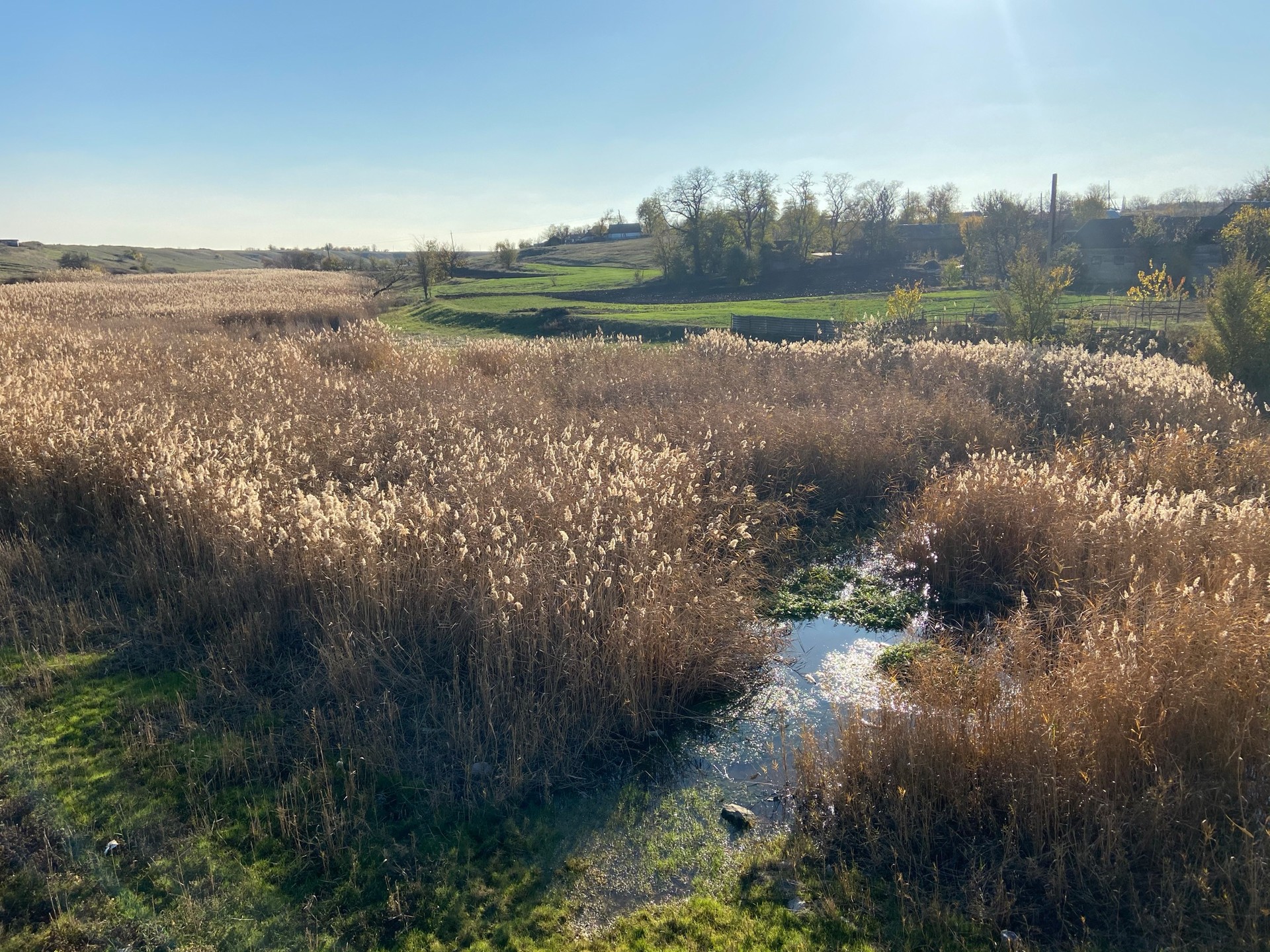 на берегах базавлука и соленой запрещено отдыхать, рыбачить и охотиться? что известно о заказнике «базавлуцкий» - изображение 9