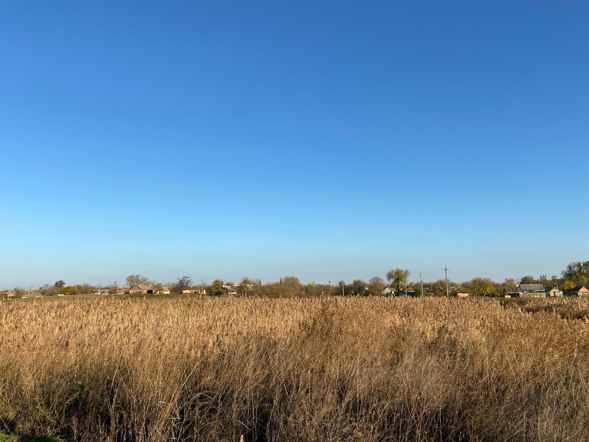 на берегах базавлука и соленой запрещено отдыхать, рыбачить и охотиться? что известно о заказнике «базавлуцкий» - изображение 13